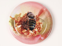 Lapka 63mm rózsaszín+ méh